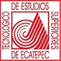 Logo TESE